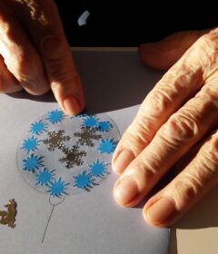 80012662_2184027655235752_2950396525215219712_o