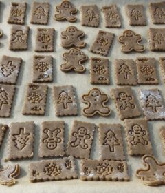 80578361_2186682874970230_8291004838133628928_o